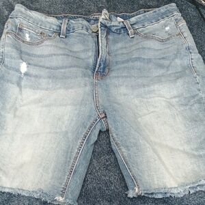 Terra & Sky Light Blue Distressed Denim Cutoff Shorts